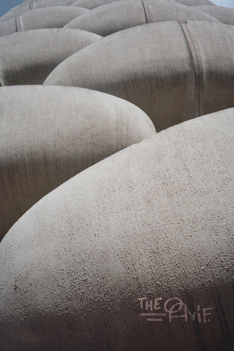 Concrete Flowers #02