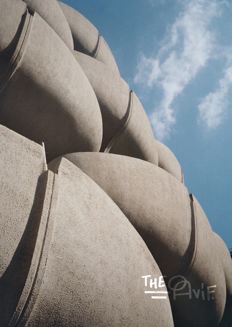 Concrete Flowers #03