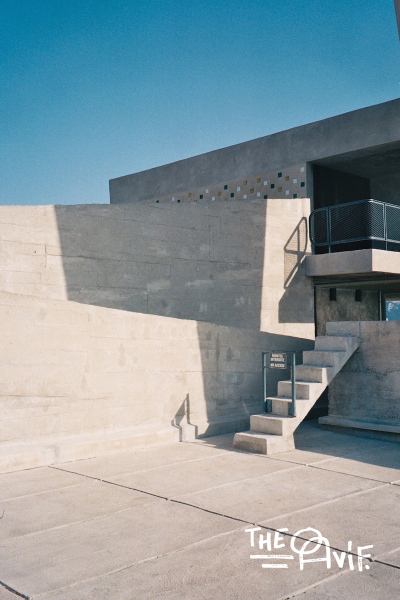 Concrete Flowers #05