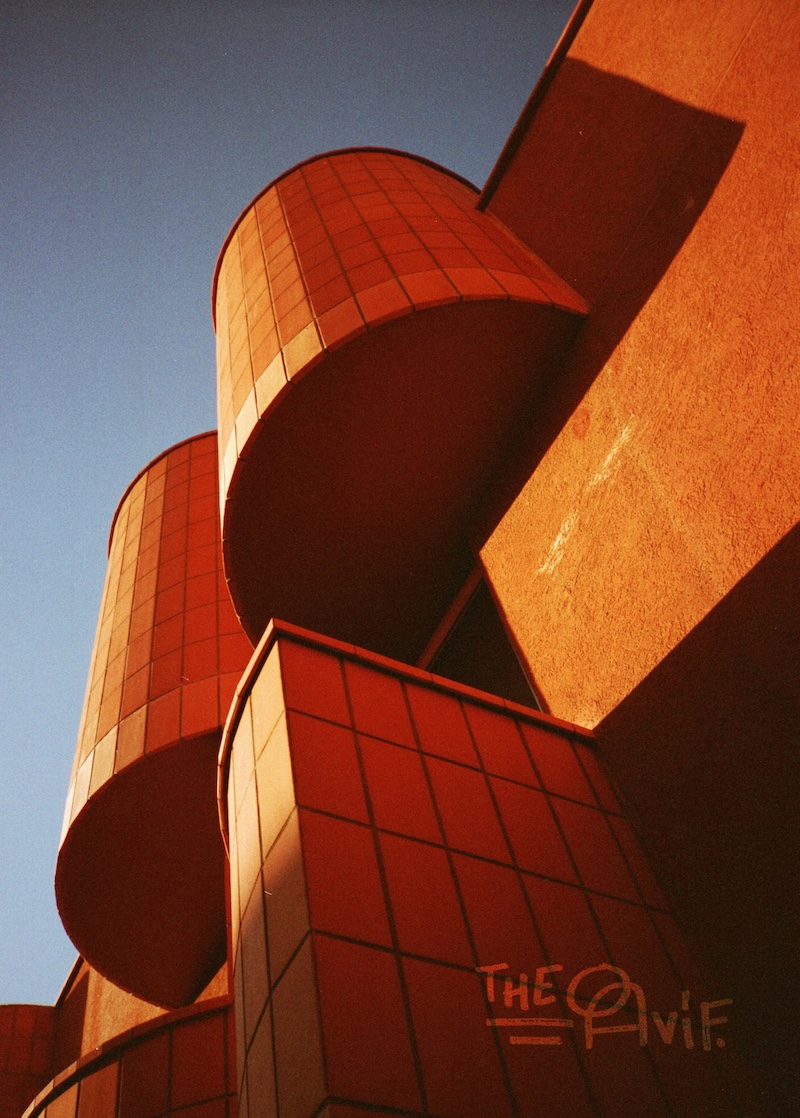 Concrete Flowers #13